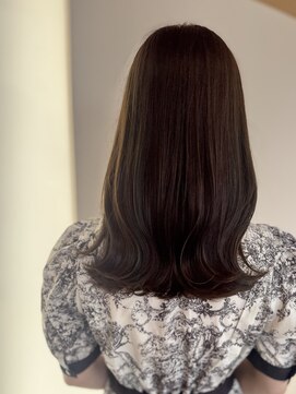 テラバイルヴェール 各務原(TERRA by LeVert) つやロング