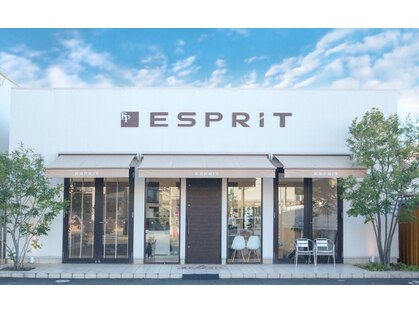 エスプリ(ESPRIT)の写真