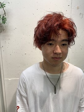 エル(EL by green) 【MITSU】レッドアッシュ×フェザーマッシュ×ツーブロック