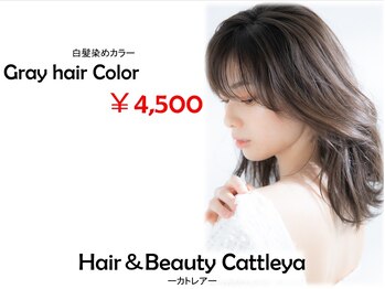 Hair&Beauty Cattleya【ヘアーアンドビューティカトレア】