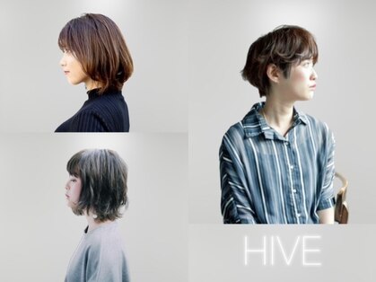 ハイブ(HIVE)の写真