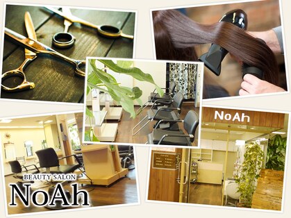 ビューティノア(BEAUTY NoAh)の写真