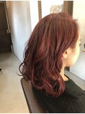秋冬ミディアム