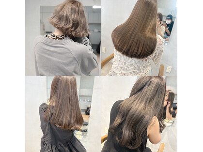 ミント(mint)の写真