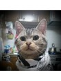 ビースト フォー ヘア(BEAST for hair) 愛猫の銀です