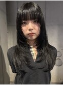 ロングレイヤー