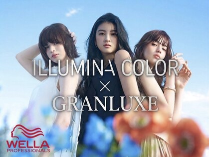 グランリュクス(GRANLUXE)の写真