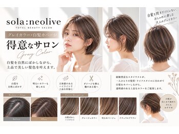 ネオリーブソラ 相模大野店(Neolive sola)の写真/白髪ぼかしハイライトで透明感を演出！グレイカラー×水素の組み合わせで、艶やかな髪へ導きます♪