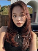 韓国ヘアーハッシュカットレイヤーカットハイライトカラー