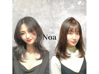 ノア(Noa)の写真