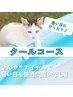とにかくひんやりしたい方にオススメです　6500→4500