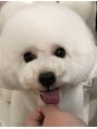 アッシュ ひばりが丘店(Ash)&nbsp;愛犬ちゃん♪