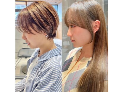 コードセブンス(Chord seventh)の写真