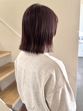 エルパライソ リフォ(Elparaiso Reff) ボルドーカラー