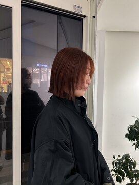 ノーム(NORME) 冬カラー