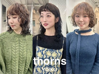 ソーンズ ヨイク(thorns YOIKU)の写真