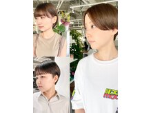 ホリー(HOLLY)