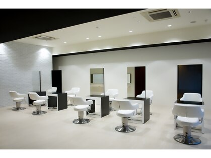 トップ カタタ TOP KATATAの写真