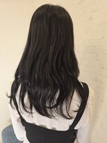 クラス(CLASS) ダークブラウン