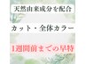 《1週間前予約》カット・全体カラー＋TR　【ミディ￥15300／ロング￥15800】