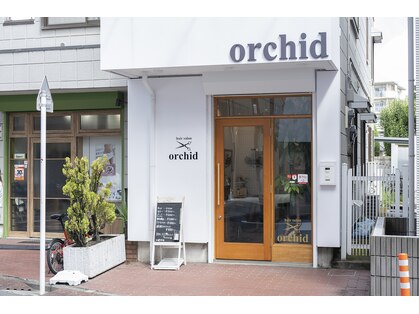 オーキッド(Orchid)の写真