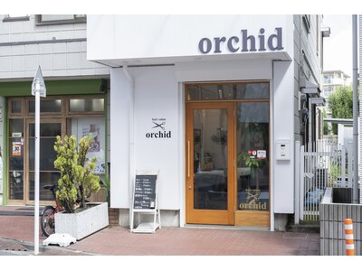 オーキッド(Orchid)