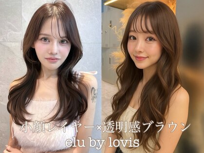 エルバイラビス 大宮(elu by lovis)の写真