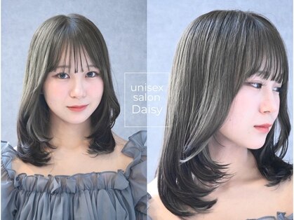 デイジー(Daisy)の写真