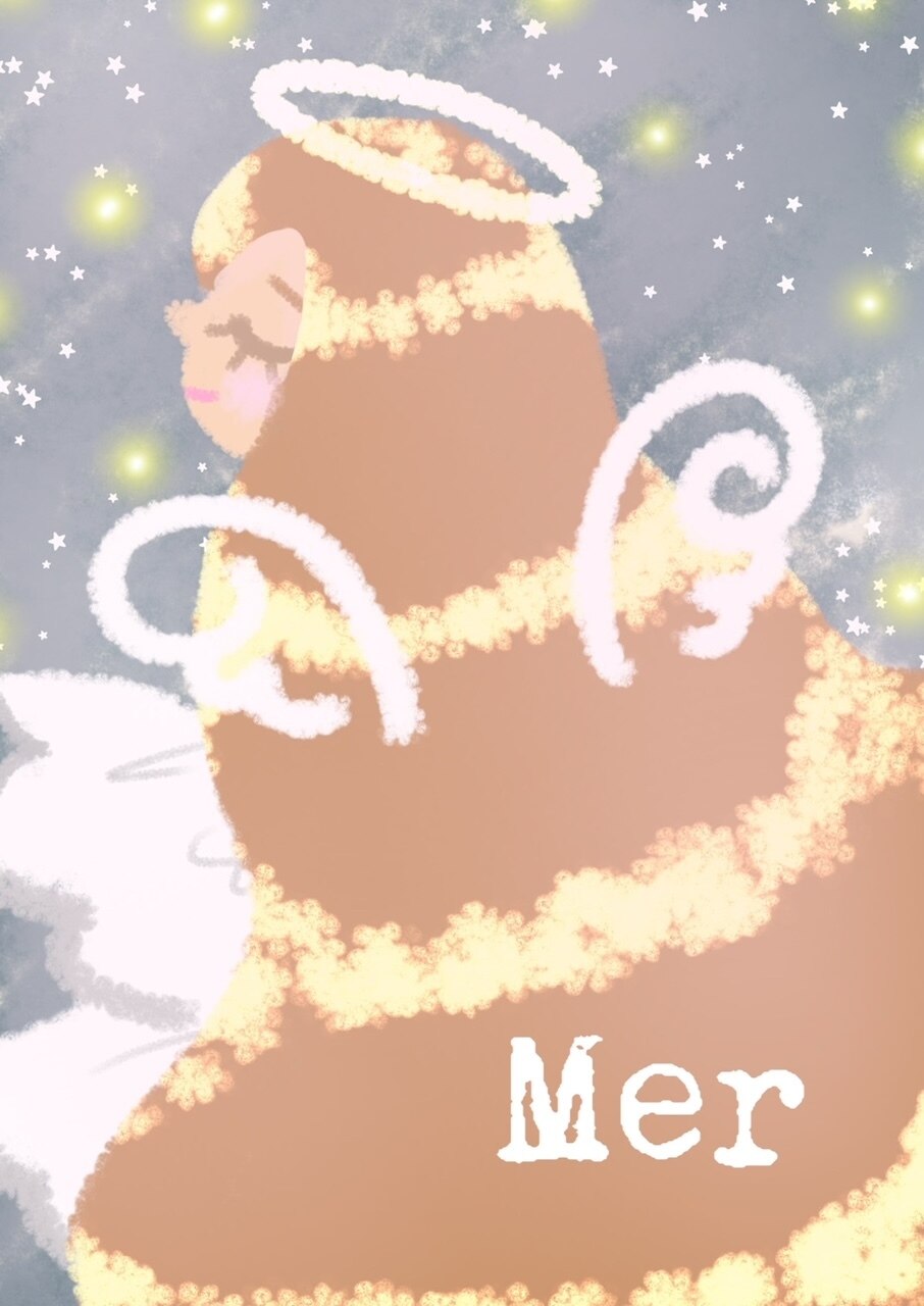 【髪質改善】　艶カラー＋天使のうるつや水素TR \19000⇒\15900