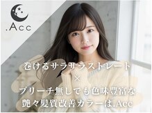 ヘアープレイス ピリオドアック(Hair Place .Acc)