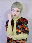 大人ハイトーンカラー/パステルミントグリーン/ショートヘア