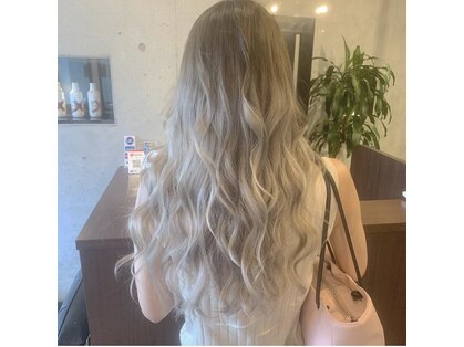 エルフ(elf)の写真