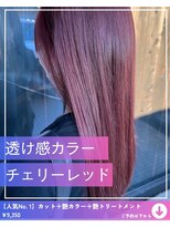 ネリネ(Nerine)&nbsp;【チェリーレッド】