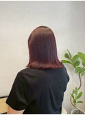 大人シアーベージュミニウルフボブミディアムレイヤー