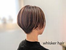ウィスカーヘアー(whisker hair)