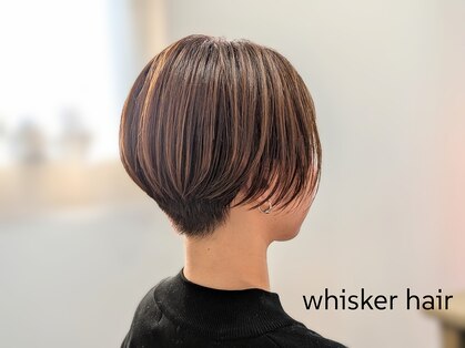 ウィスカーヘアー(whisker hair)の写真
