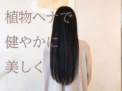 グランド パトス(GRAND PATOS)の写真