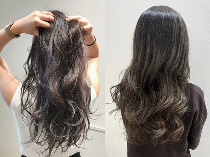 バル(bal)の写真