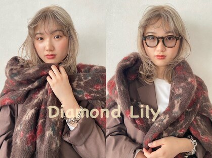 ダイアモンドリリー(Diamond Lily)の写真