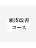 【新規のお客様限定 頭皮改善コース】※詳しくは詳細を御覧になって下さい