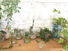 リリー(Lilly)の雰囲気（カワイイ小物と植物も♪）