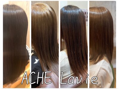 アッシュレヴィー(ACHE LaVie)