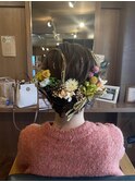 シニヨン