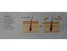 ◆新規◆ カット＋頭皮クレンジング￥6050→￥4950【￥1100引き】