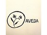 【当日限定クーポン】AVEDA頭皮改善スパ+AVEDA高補修トリートメント+ブロー