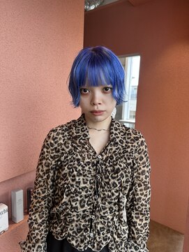 プロス(Pros) ブルーカラー　デザインカラー