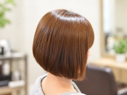 アコット(Acot)の写真