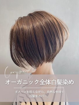 スピーディーカラー 行田店 オーガニック全体白髪染め