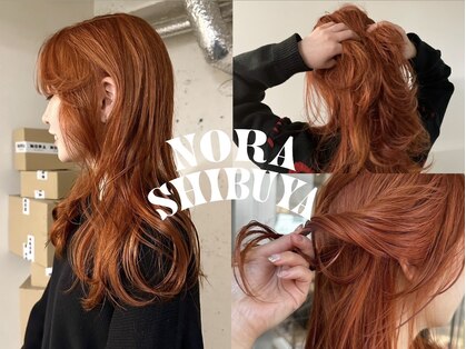 ノラ シブヤ(NORA)の写真