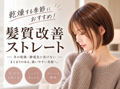 ジエクト ヴィシア(The Ect VIXIA)の写真